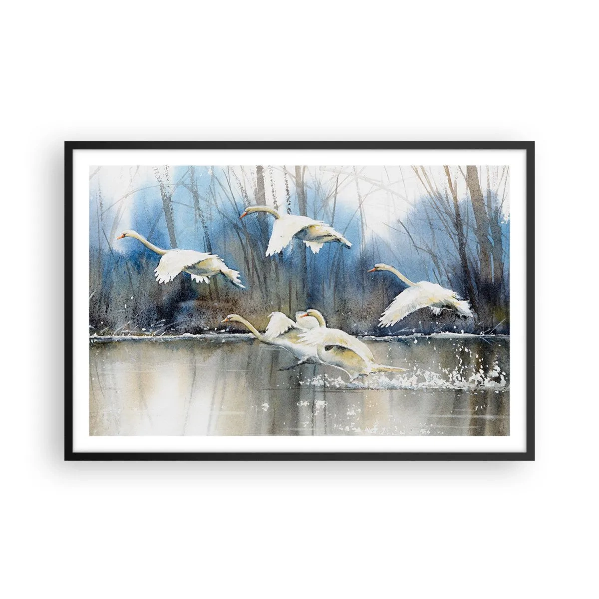 Affiche dans un cadre noir - Poster - Comme dans un conte de fées sur les cygnes sauvages - 91x61 cm