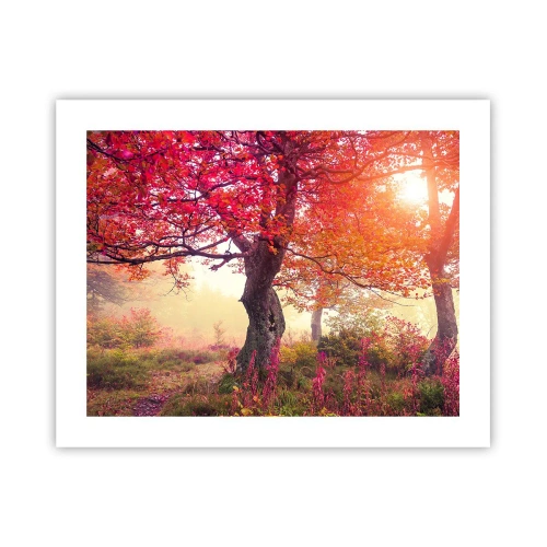 Affiche - Poster - Frénésie de floraison - 50x40 cm