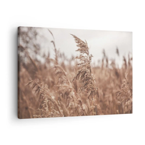 Impression sur toile - Image sur toile - Herbes dorées sur fond de paysage d'automne - 70x50cm - C'est déjà l'automne dans les champs - Décoration murale moderne pour le salon et la chambre ARTTOR
