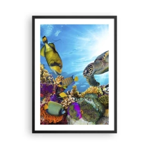 Affiche dans un cadre noir - Poster - Vie marine colorée avec poissons et tortues dans les eaux tropicales - 50x70cm - Promenade de corail - Décoration murale moderne pour le salon et la chambre ARTTOR
