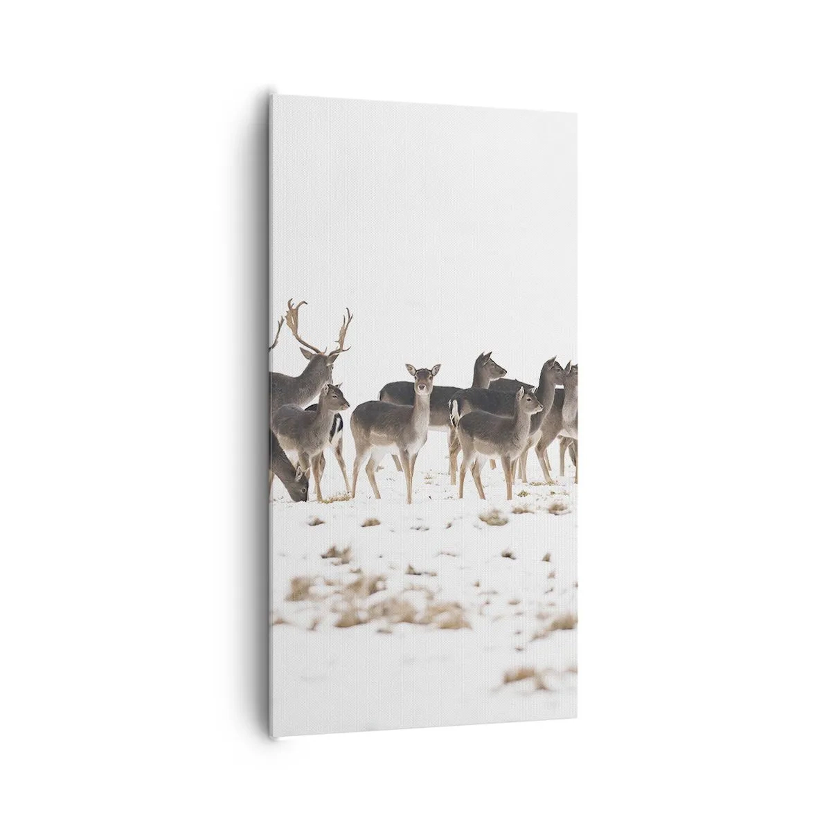 Impression sur toile - Image sur toile - Les fêtes approchent ? - 65x120 cm