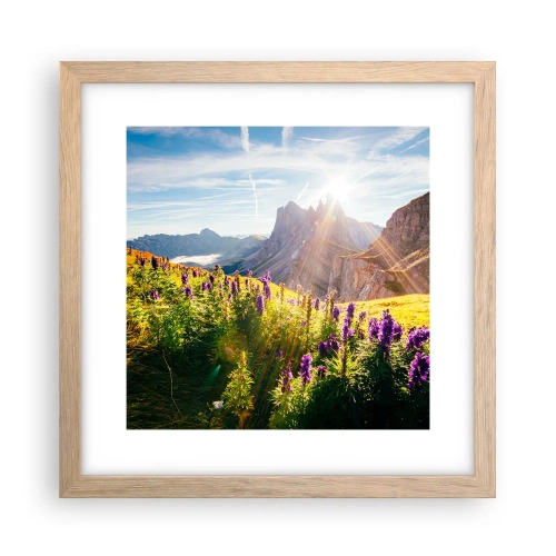 Affiche dans un chêne clair - Poster - La vie secrète des herbes - 30x30 cm