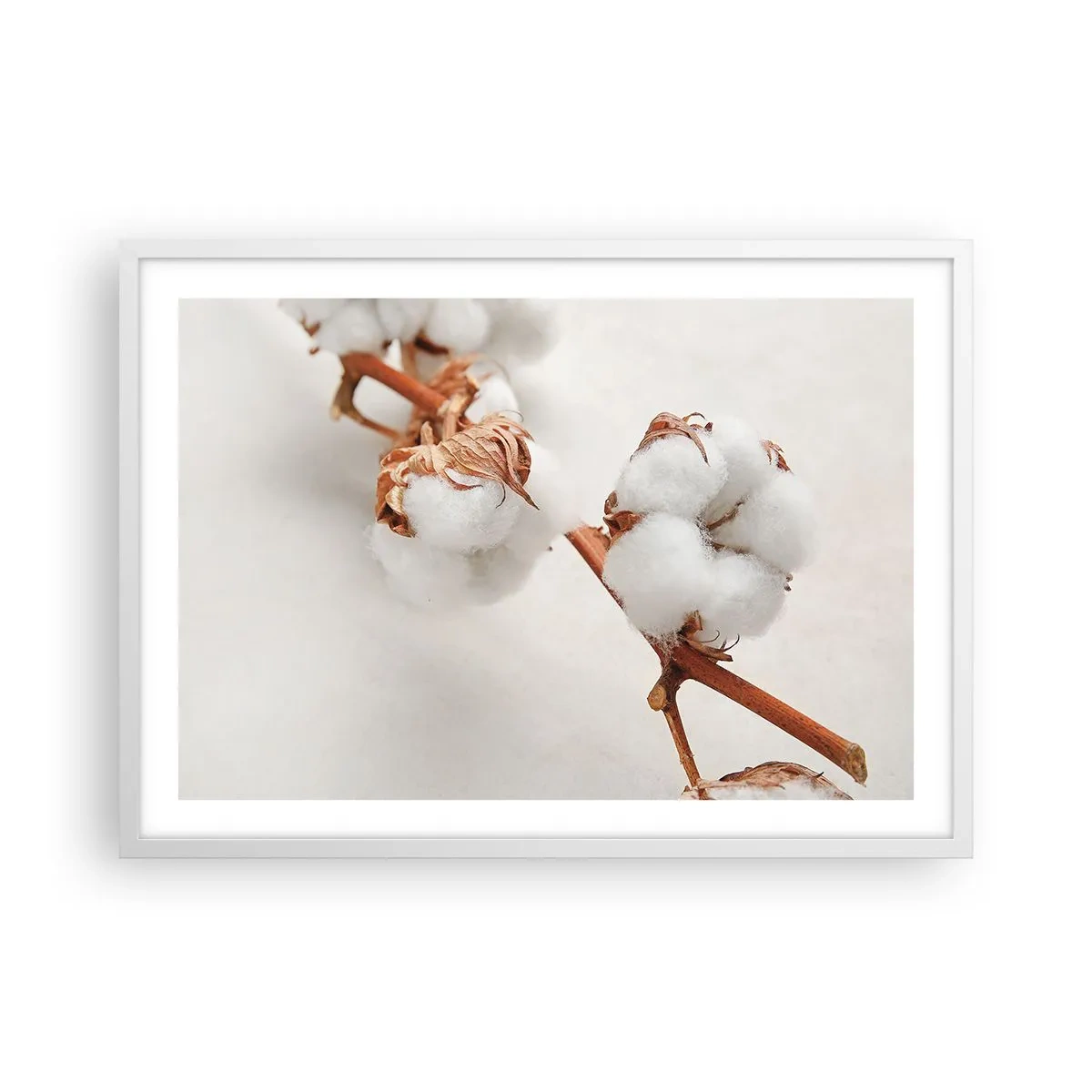 Affiche dans un cadre blanc - Poster - Seulement caliner - 70x50 cm