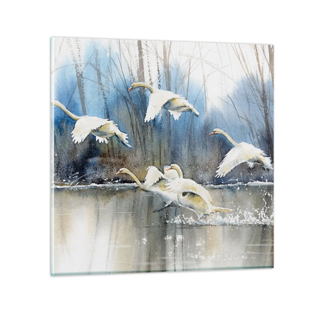 Impression sur verre - Image sur verre - Comme dans un conte de fées sur les cygnes sauvages - 30x30 cm