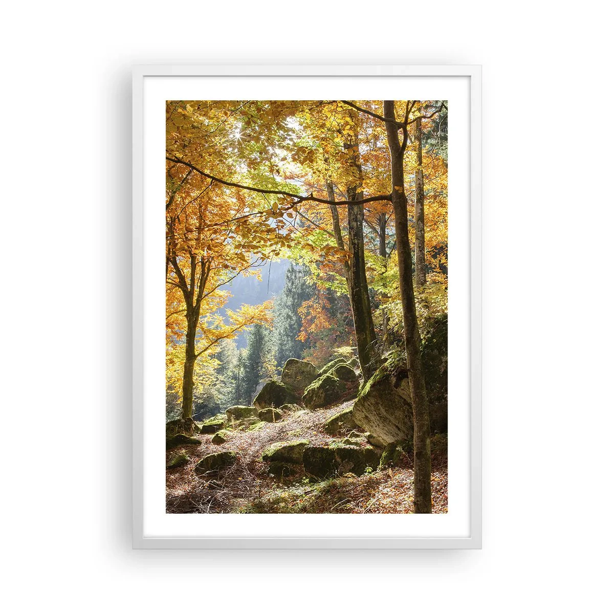 Affiche dans un cadre blanc - Poster - Il est temps de se détendre - 50x70 cm