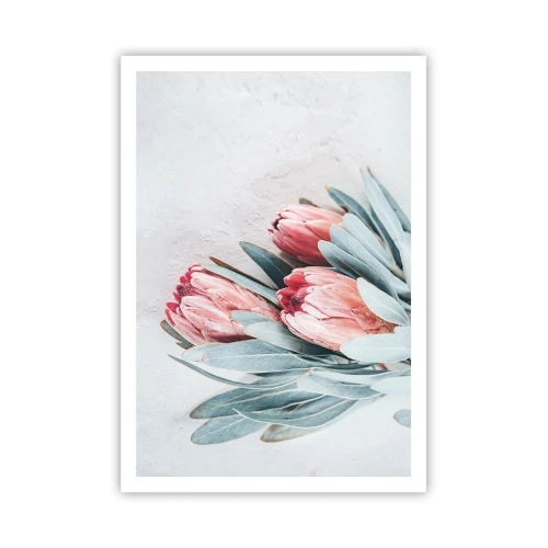 Affiche - Poster - Honte de leur propre beauté - 70x100 cm