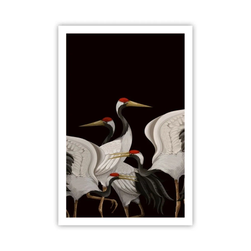 Affiche - Poster - Histoire d'oiseaux - 61x91 cm