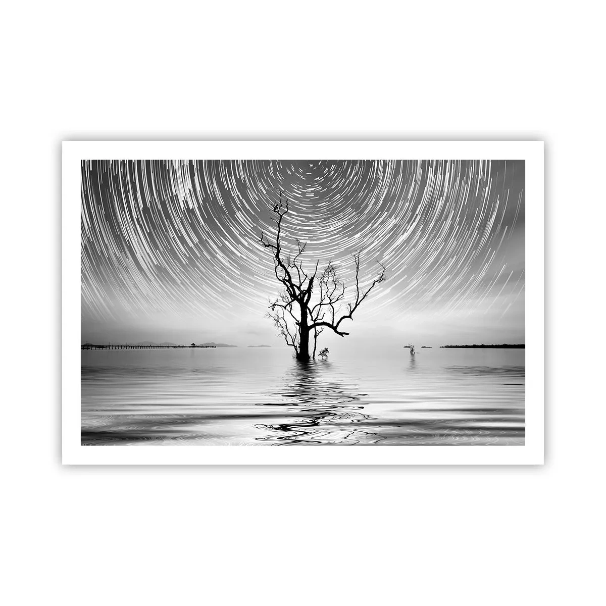 Affiche - Poster - La symphonie de la nature - 91x61 cm