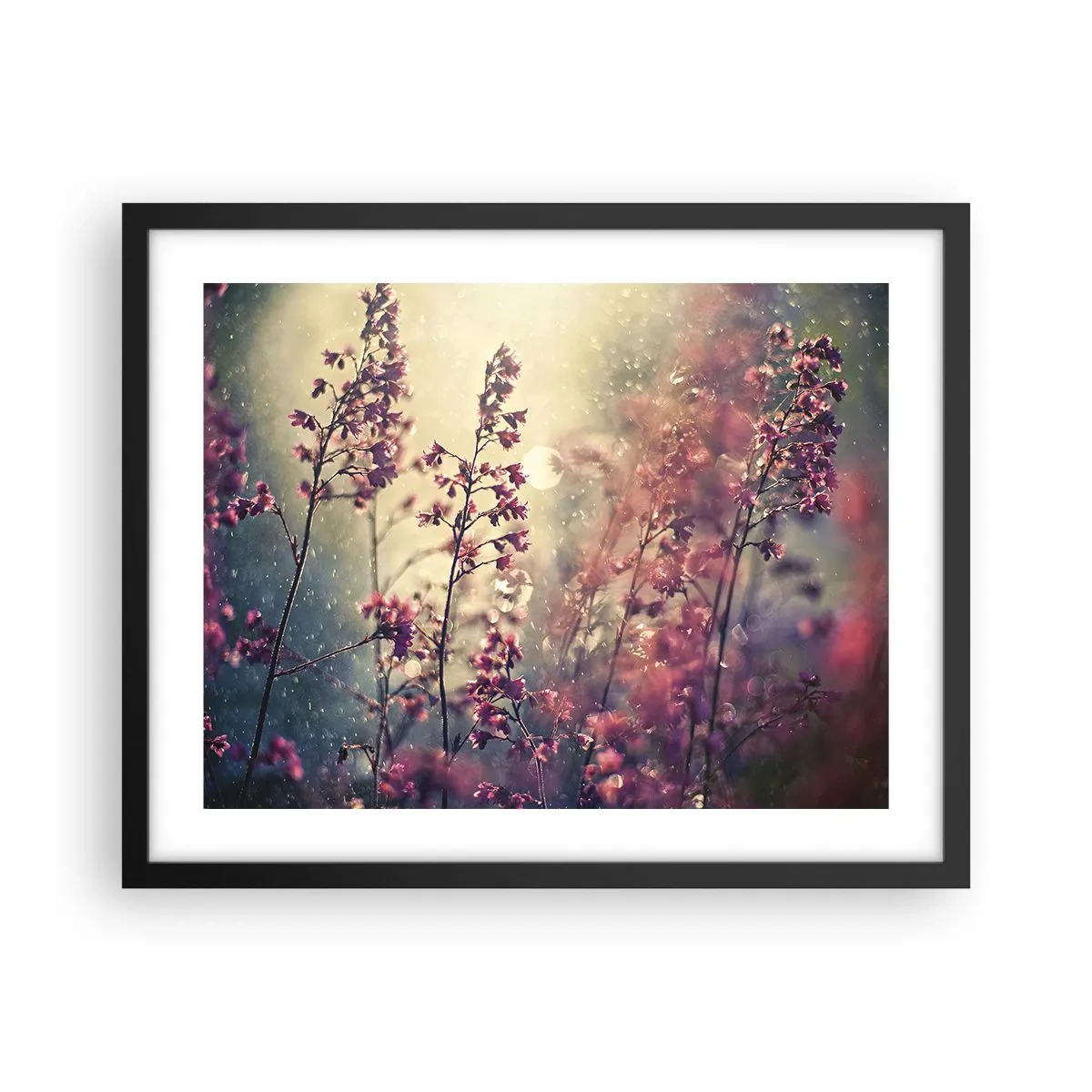Affiche dans un cadre noir - Poster - Jardin secret - 50x40 cm