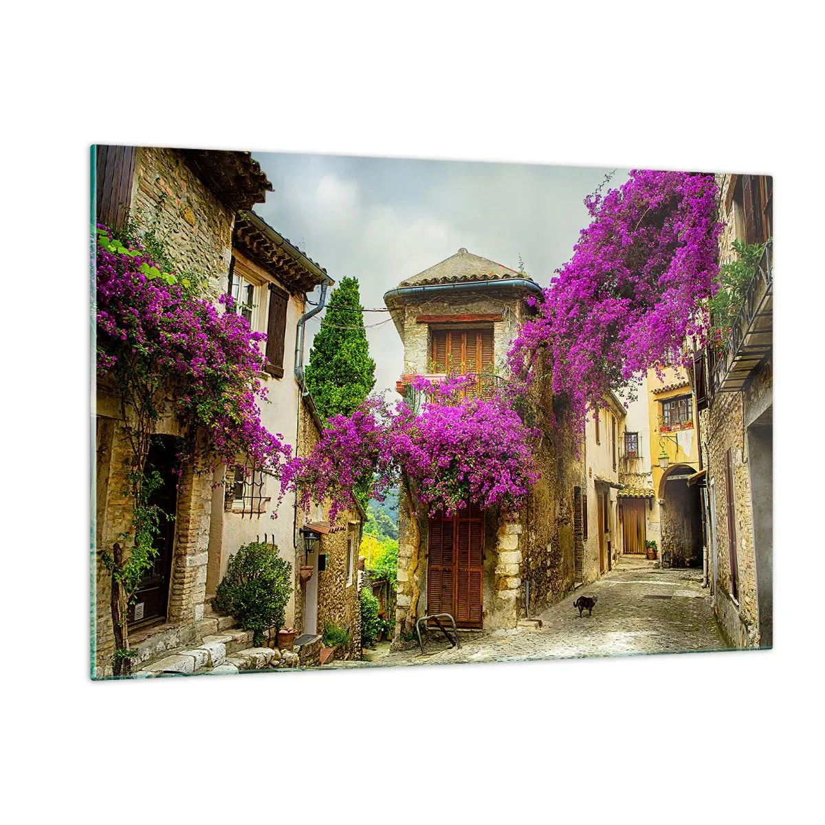 Impression sur verre - Image sur verre - Une rue charmante avec des vignes roses en fleurs et des maisons de rapport - 120x80cm - Sous un dais fleuri - Décoration murale moderne pour le salon et la chambre ARTTOR