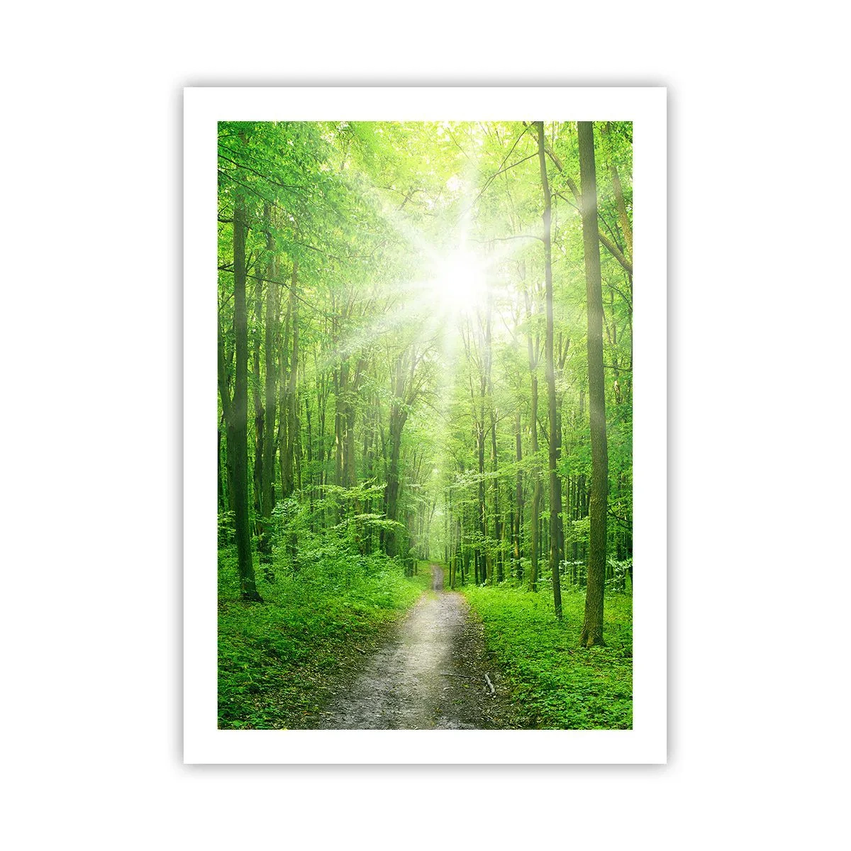 Affiche - Poster - Un chemin forestier illuminé par les rayons du soleil - 50x70cm - Cathédrale verte - Décoration murale moderne pour le salon et la chambre ARTTOR
