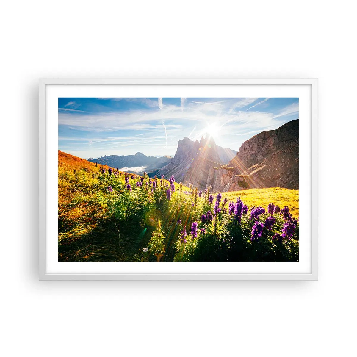 Affiche dans un cadre blanc - Poster - La vie secrète des herbes - 70x50 cm