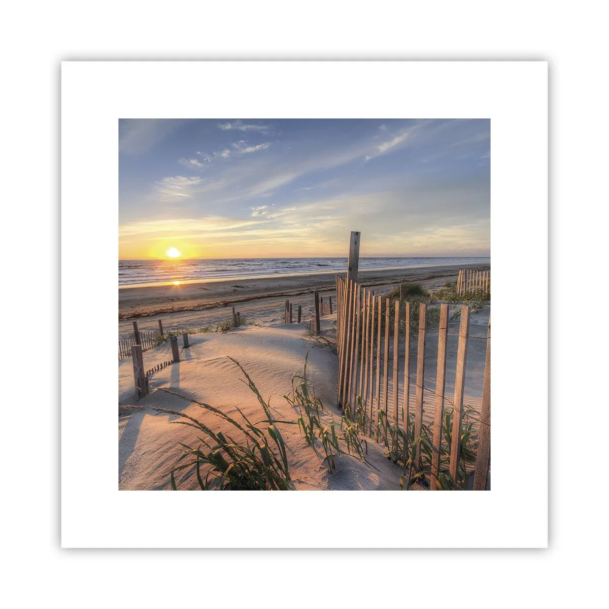 Affiche - Poster - Ombre et brillance du vent - 30x30 cm