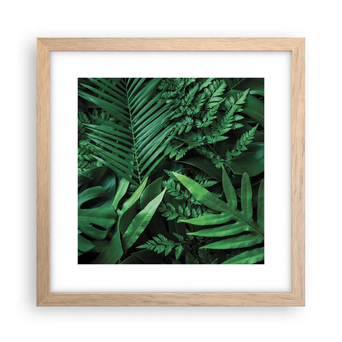 Affiche dans un chêne clair - Poster - Emmitouflé de verdure - 30x30 cm