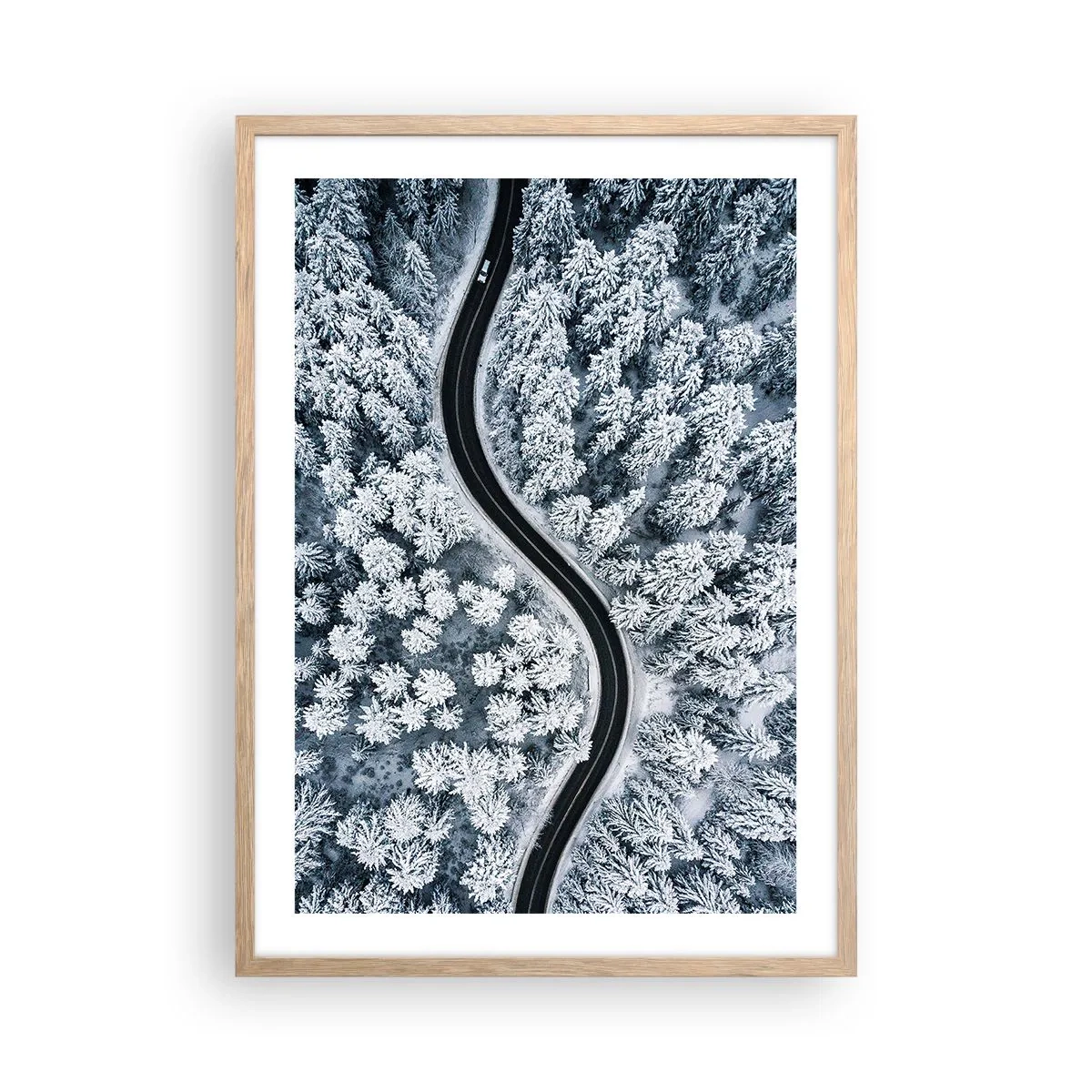 Affiche dans un chêne clair - Poster - À travers une forêt d'hiver - 50x70 cm