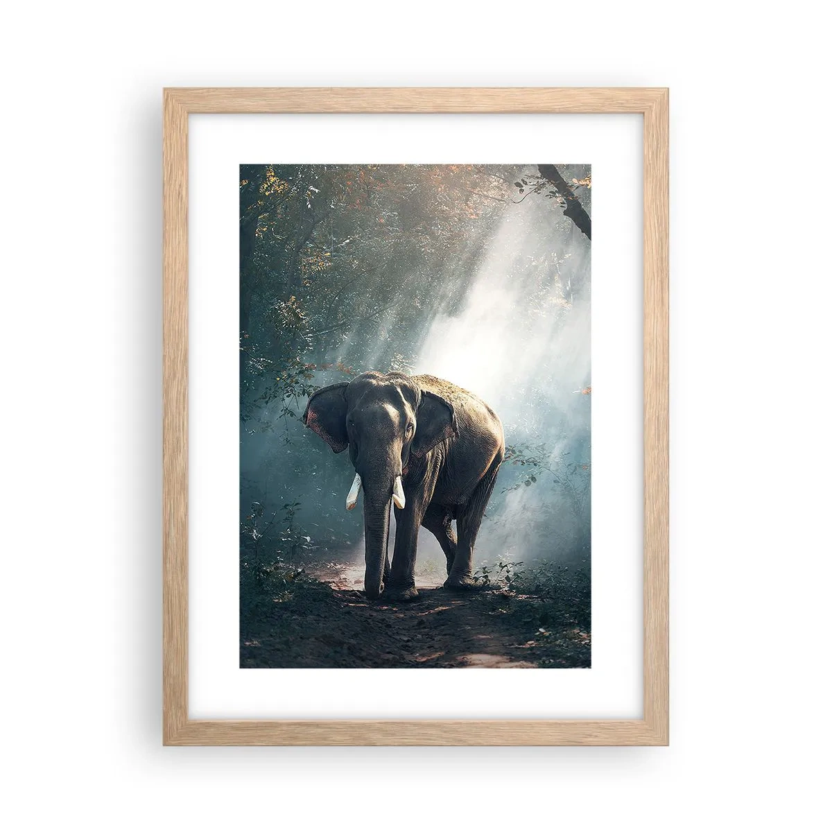 Affiche dans un chêne clair - Poster - Une balade tranquille - 30x40 cm