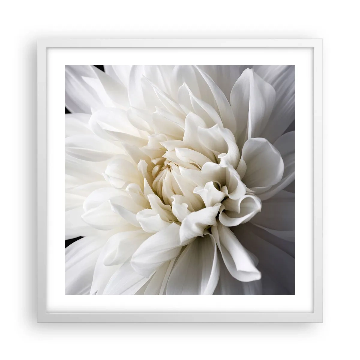 Affiche dans un cadre blanc - Poster - Le matin de la jeune mariéé - 50x50 cm