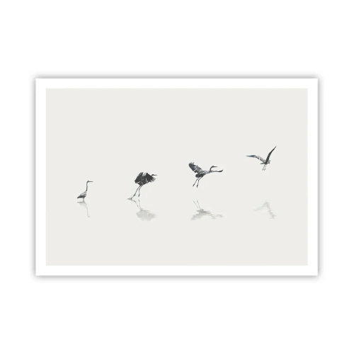 Affiche - Poster - Quatre silhouettes d'oiseaux se reflètent dans l'eau calme - 100x70cm - Quatre étapes simples - Décoration murale moderne pour le salon et la chambre ARTTOR