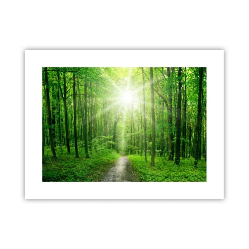 Affiche - Poster - Cathédrale verte - 40x30 cm