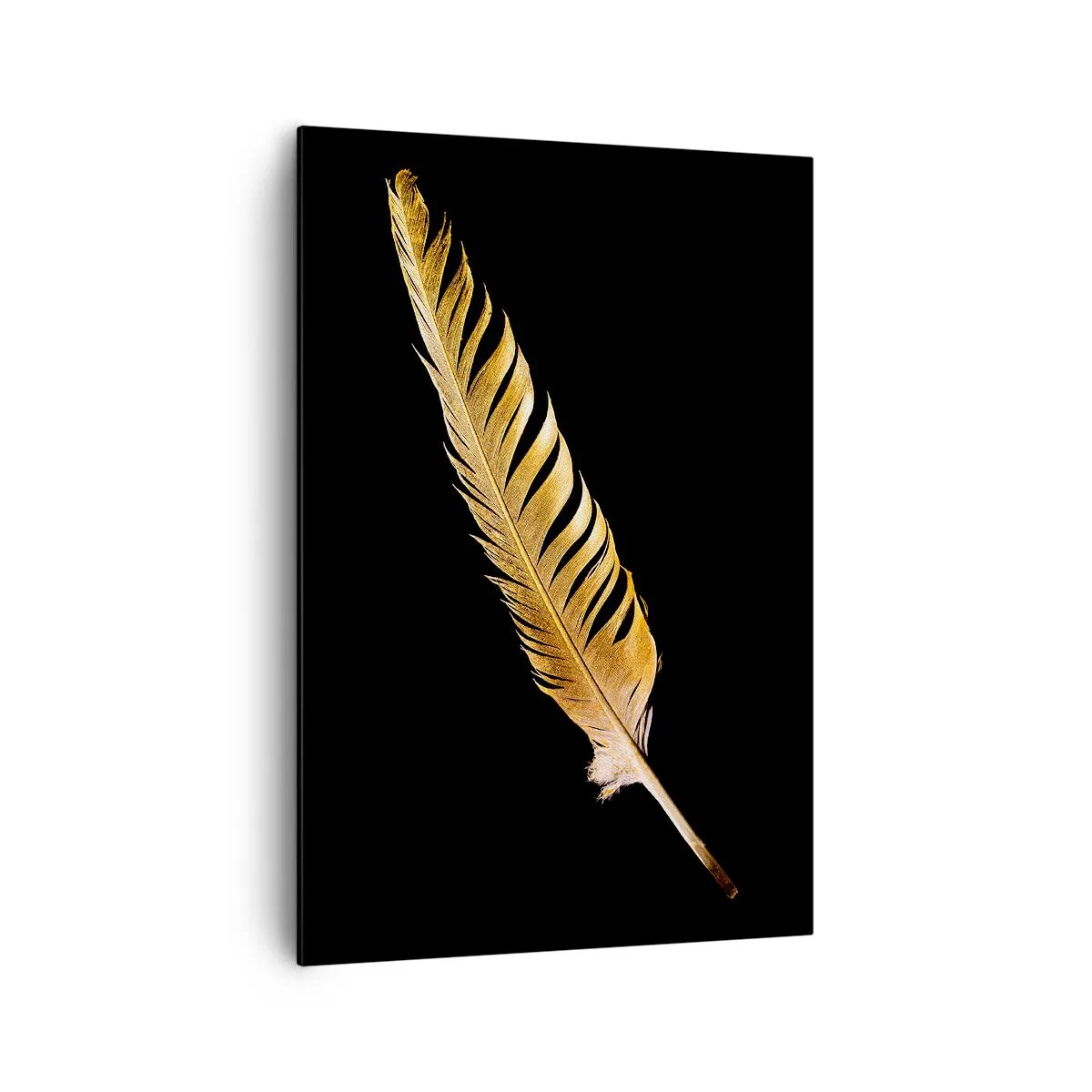 Impression sur toile - Image sur toile - Plume dorée sur fond noir - 70x100cm - Sans porte-plume - Décoration murale moderne pour le salon et la chambre ARTTOR