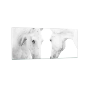 Impression sur verre - Image sur verre - Un portrait minimaliste de deux chevaux blancs - 120x50cm - Serait-ce de l’amitié? - Décoration murale moderne pour le salon et la chambre ARTTOR