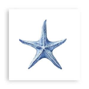 Affiche - Poster - Étoile de mer - 60x60 cm