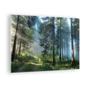 Impression sur verre - Image sur verre - Un chemin forestier dans la brume matinale parmi de grands arbres - 70x50cm - Rayonnant le matin - Décoration murale moderne pour le salon et la chambre ARTTOR