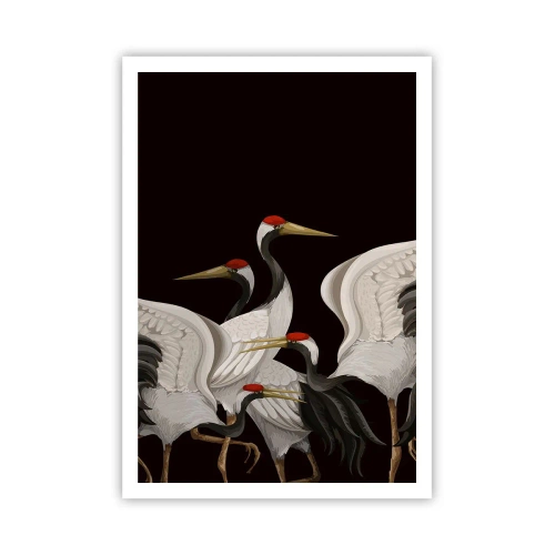 Affiche - Poster - Histoire d'oiseaux - 70x100 cm