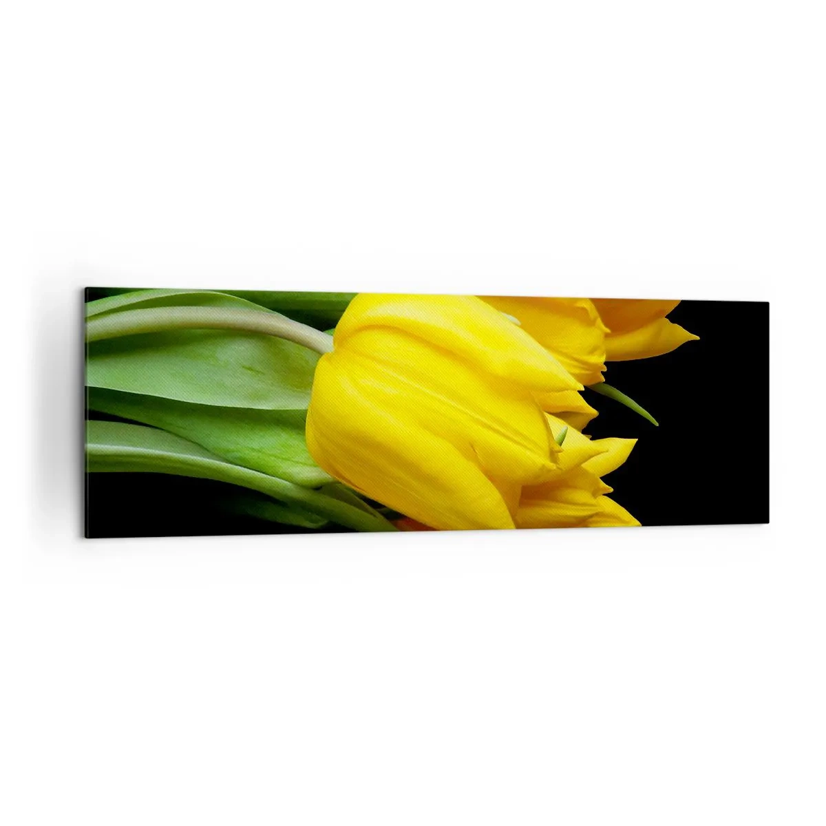 Impression sur toile - Image sur toile - Un bouquet de tulipes jaunes sur fond noir - 160x50cm - Lever de soleil pur - Décoration murale moderne pour le salon et la chambre ARTTOR