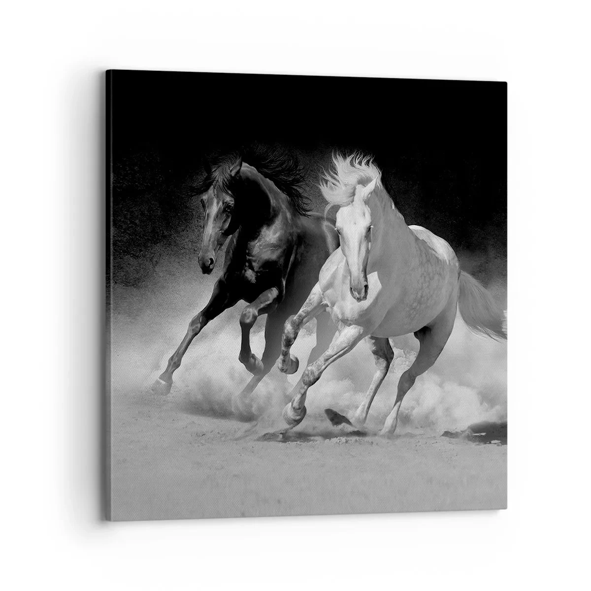Impression sur toile - Image sur toile - Galop de la liberté - 70x70 cm