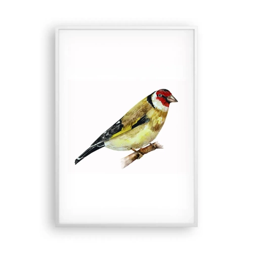 Affiche dans un cadre blanc - Poster - Portrait d'oiseau - 70x100 cm