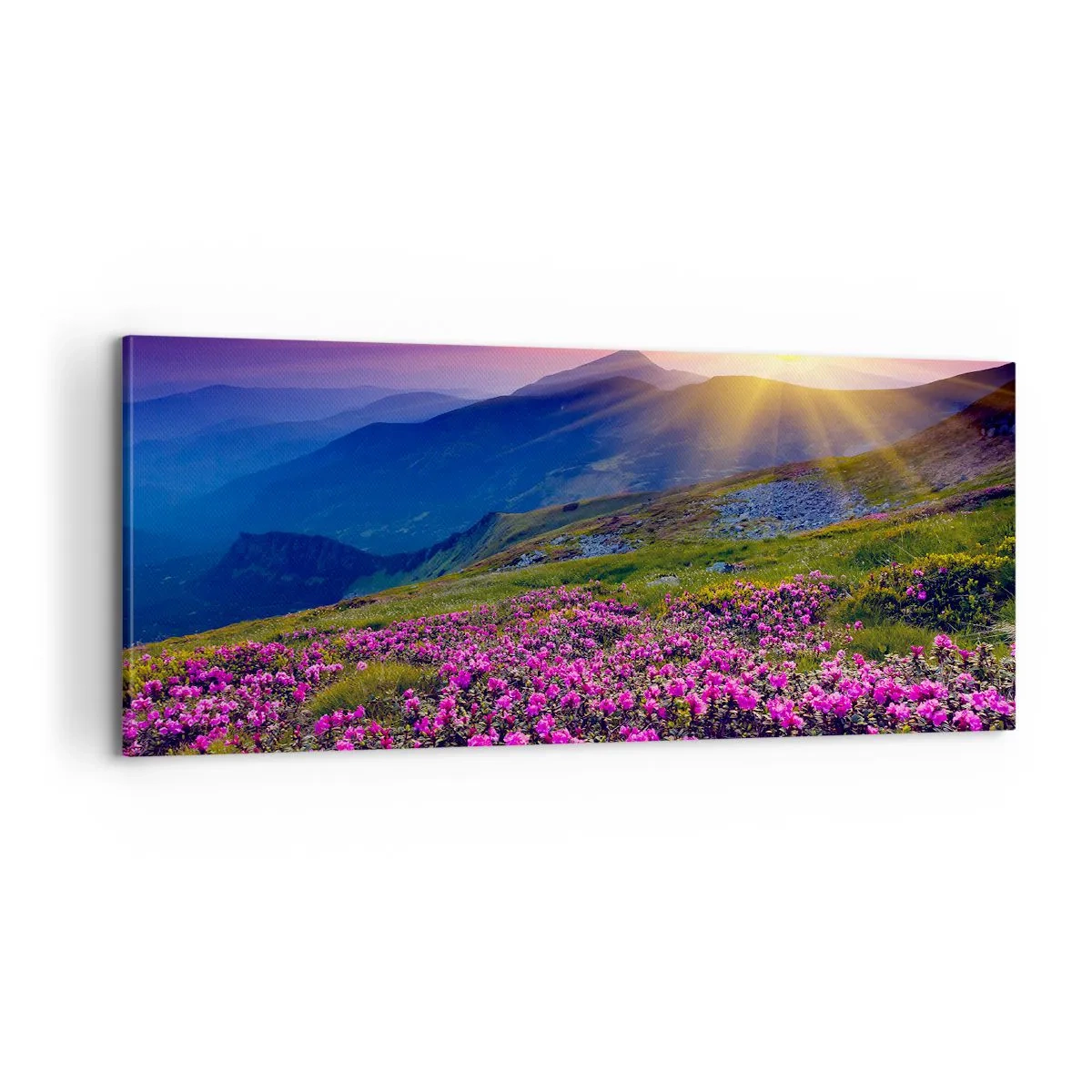 Impression sur toile - Image sur toile - … Et autour, ça sent le pin des montagnes et l'odeur de la prairie - 100x40 cm