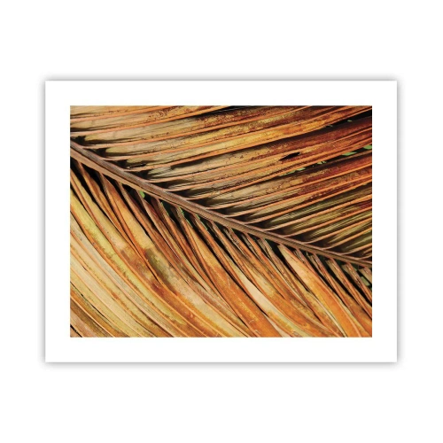 Affiche - Poster - Or de noix de coco - 50x40 cm