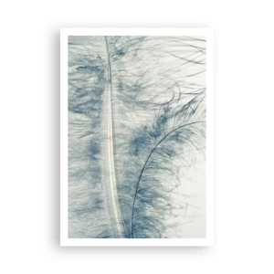 Affiche - Poster - Les sept natures - 70x100 cm