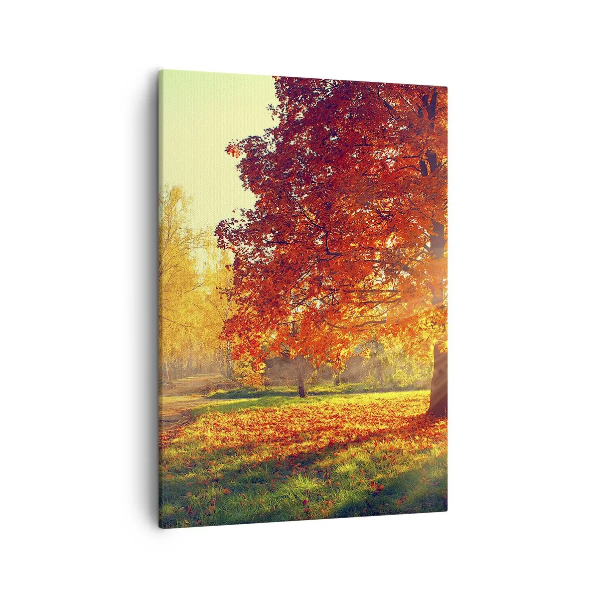 Impression sur toile - Image sur toile - Parc d'automne illuminé par la lumière du soleil - 50x70cm - Le roux est beau - Décoration murale moderne pour le salon et la chambre ARTTOR