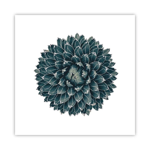 Affiche - Poster - Étoile du désert - 50x50 cm