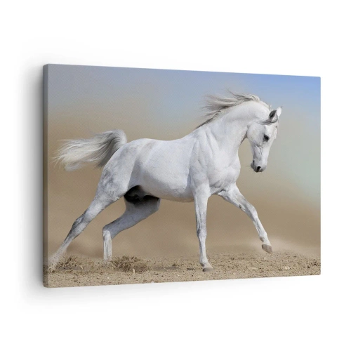 Impression sur toile - Image sur toile - Un cheval blanc galopant à travers un paysage désertique - 70x50cm - Le plus beau conte de fées arabe - Décoration murale moderne pour le salon et la chambre ARTTOR