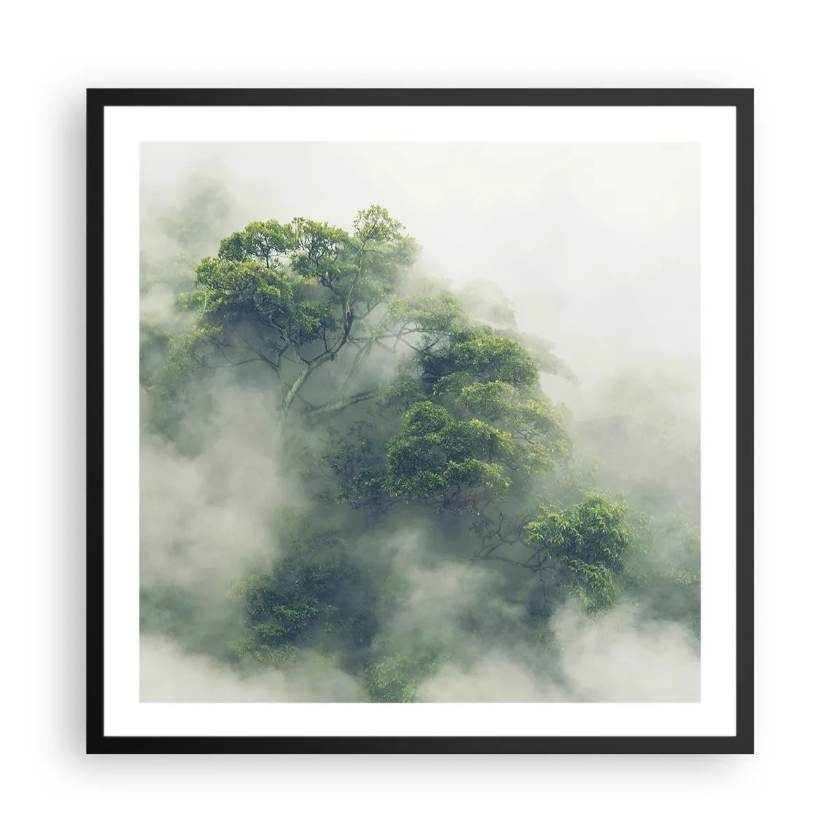 Affiche dans un cadre noir - Poster - Enveloppé de brouillard - 60x60 cm