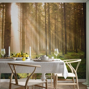 Papier Peint Photo Premium Canvas - Les elfes vont bientôt apparaître - Forêt, Rayons du soleil, Nature - 250x175 cm