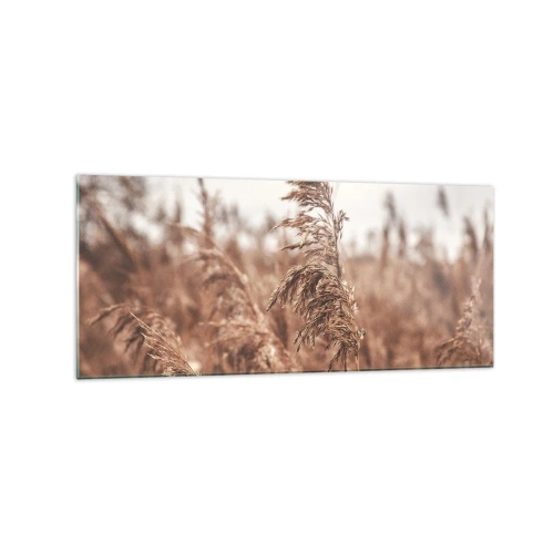 Impression sur verre - Image sur verre - Herbes dorées sur fond de paysage d'automne - 120x50cm - C'est déjà l'automne dans les champs - Décoration murale moderne pour le salon et la chambre ARTTOR