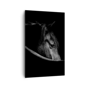 Impression sur toile - Image sur toile - Portrait en noir et blanc d'un cheval avec un jeu subtil de lumière et d'ombre sur un fond sombre. - 80x120cm - Prince Noir - Décoration murale moderne pour le salon et la chambre ARTTOR