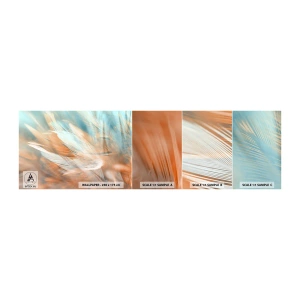 Échantillon de Papier Peint Autocollant Deluxe Sticker - Au pays de la douceur - Délicat, Plumes, Minimalisme - 100x30 cm