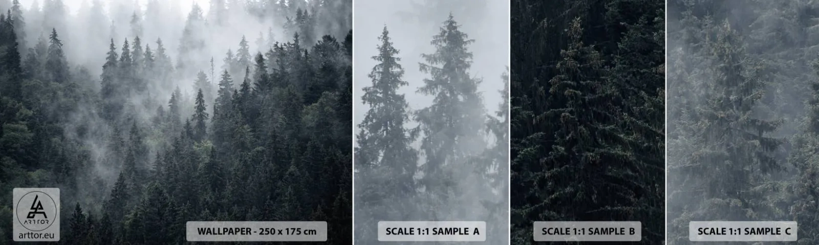 Échantillon De Papier Peint Standard Eco - Aube de la forêt - Paysage, Forêt, Nature - 100x30 cm