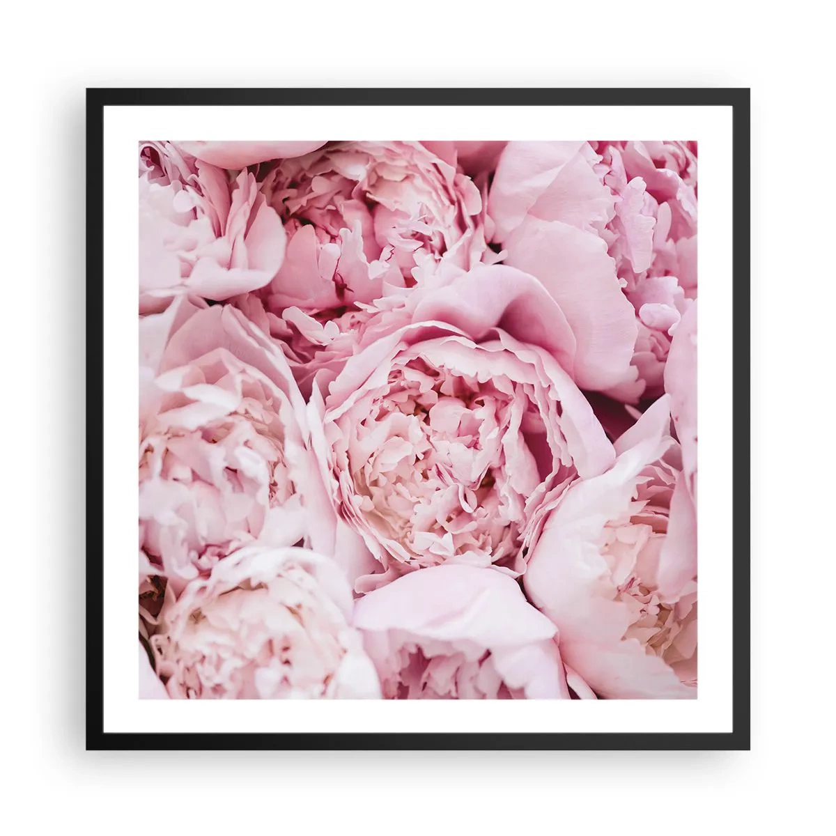 Affiche dans un cadre noir - Poster - Caliné et parfumé - 60x60 cm