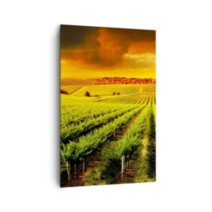 Impression sur toile - Image sur toile - Des vignes dorées illuminées par les rayons du soleil - 80x120cm - Sous le soleil australien - Décoration murale moderne pour le salon et la chambre ARTTOR