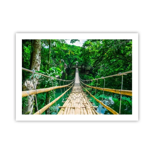 Affiche - Poster - Pont de singe en pleine nature - 70x50 cm