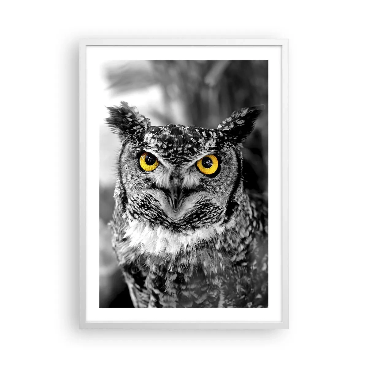 Affiche dans un cadre blanc - Poster - Rien ne se cachera - 50x70 cm