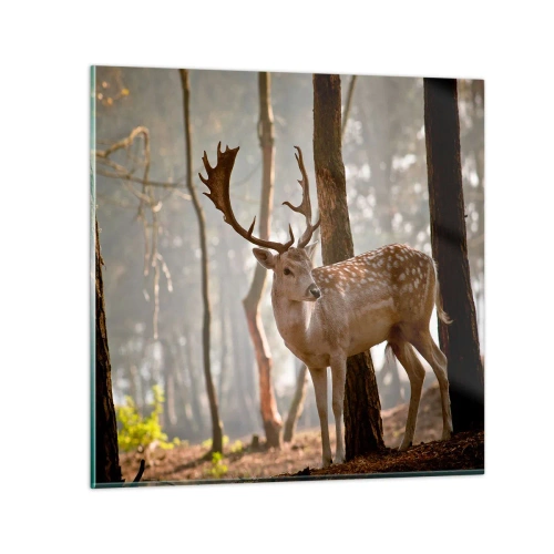 Impression sur verre - Image sur verre - La lumière de la jeunesse - 30x30 cm