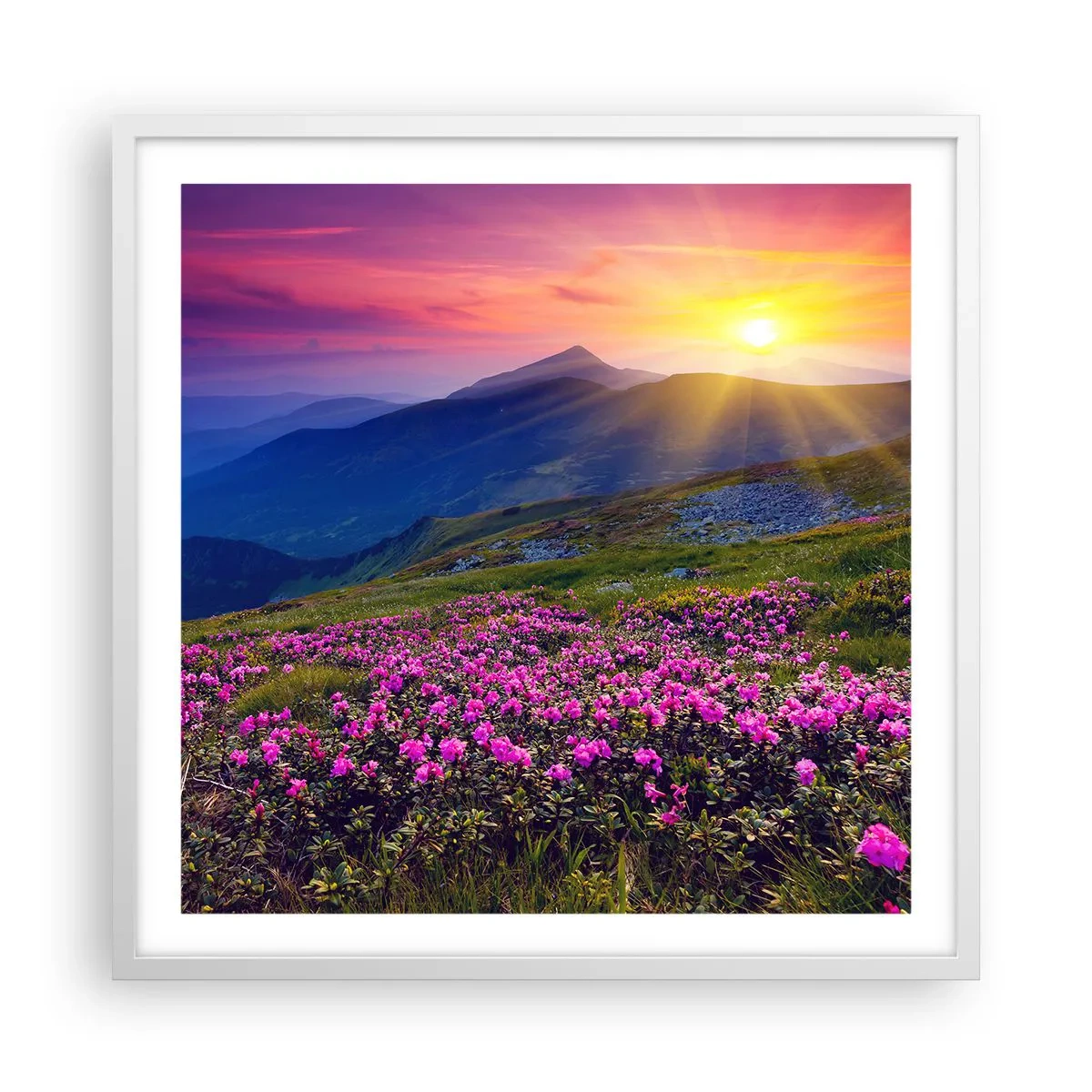 Affiche dans un cadre blanc - Poster - … Et autour, ça sent le pin des montagnes et l'odeur de la prairie - 60x60 cm