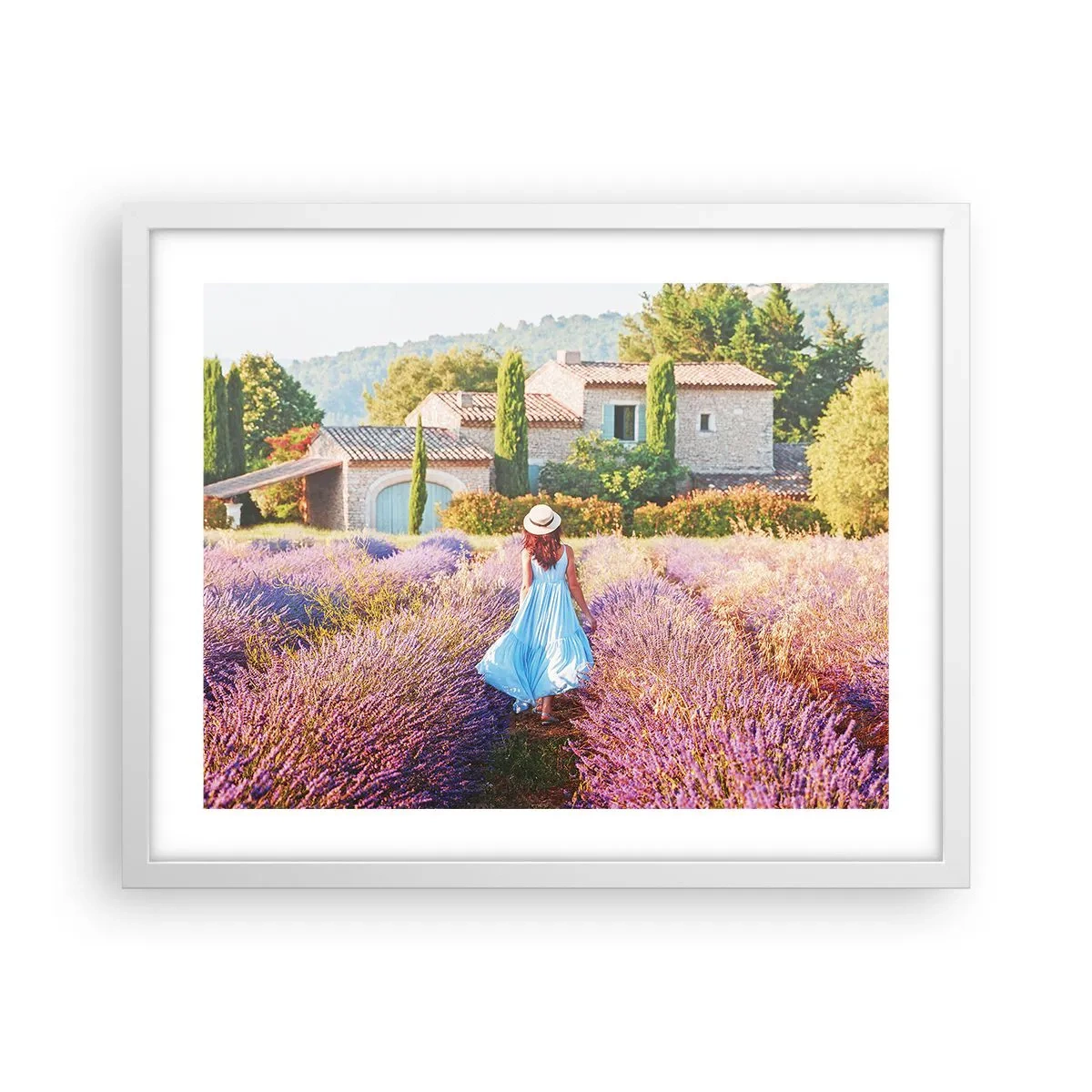 Affiche dans un cadre blanc - Poster - Fille de la lavande - 50x40 cm
